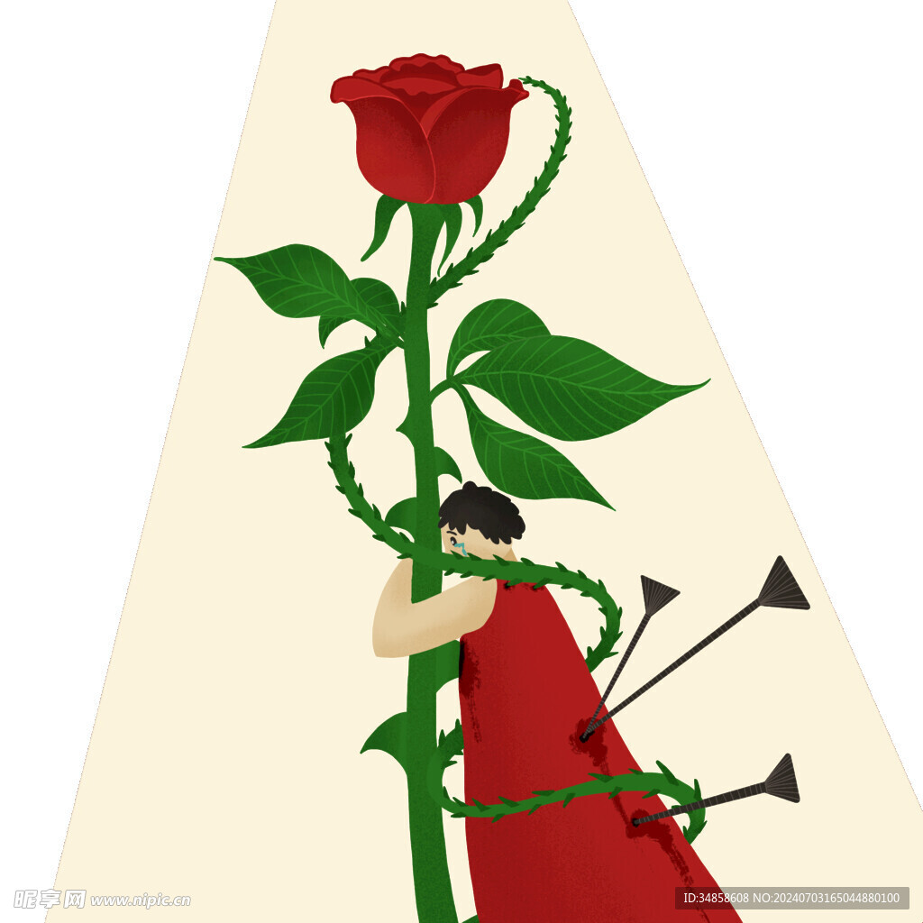 玫瑰花图片