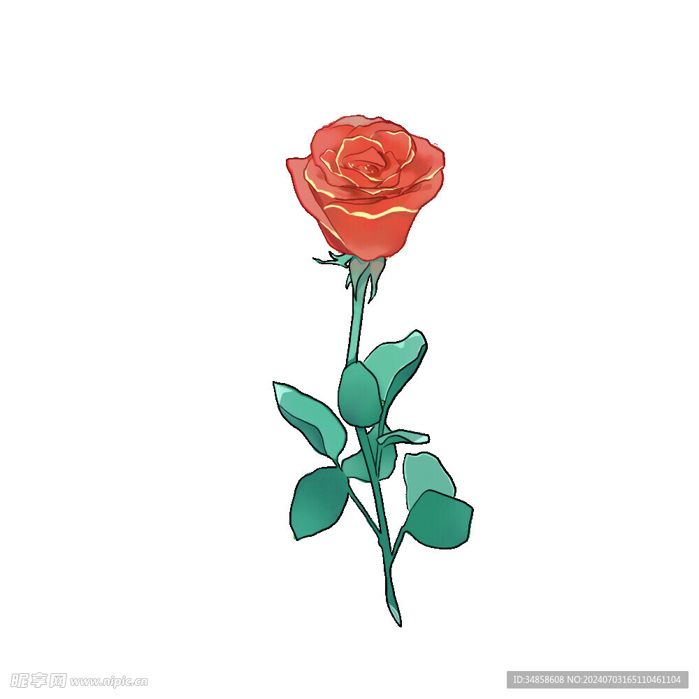 玫瑰花图片