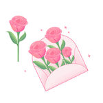 玫瑰花图片