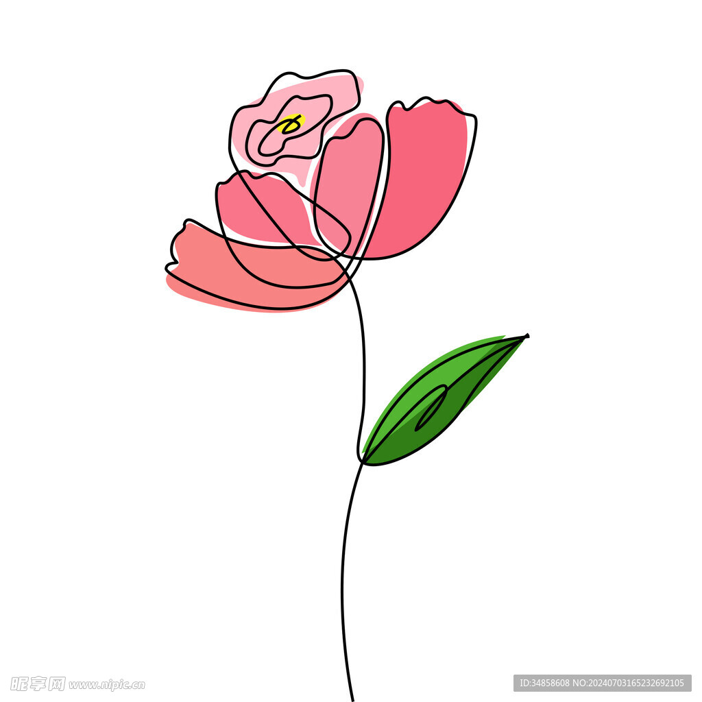 玫瑰花图片