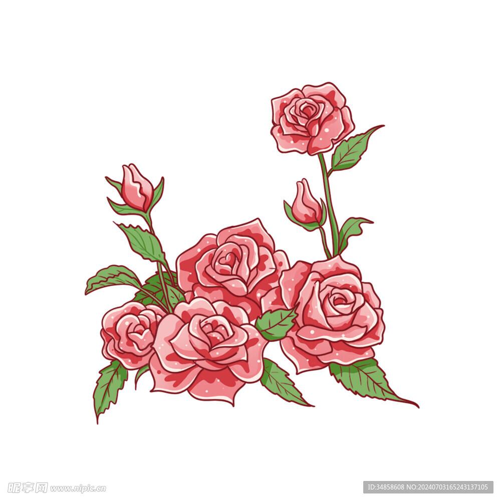 玫瑰花图片