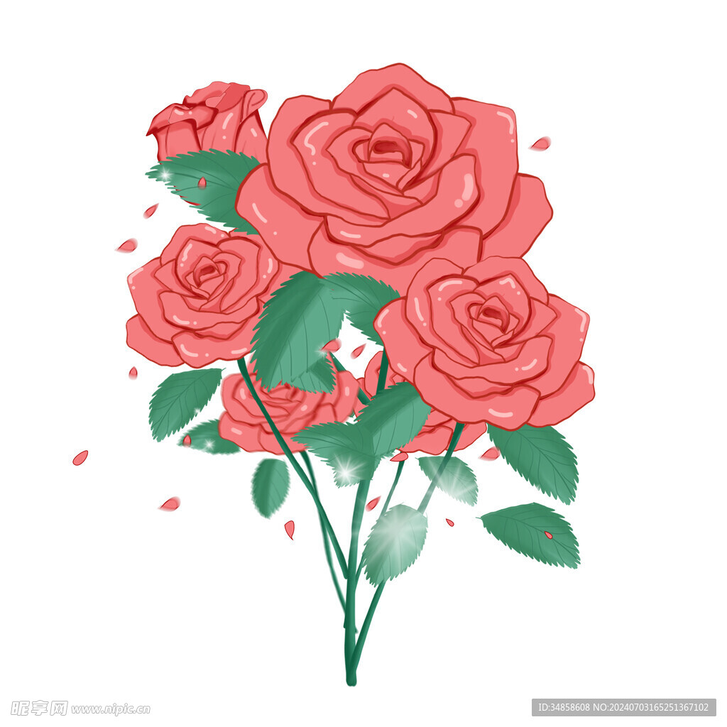 玫瑰花图片