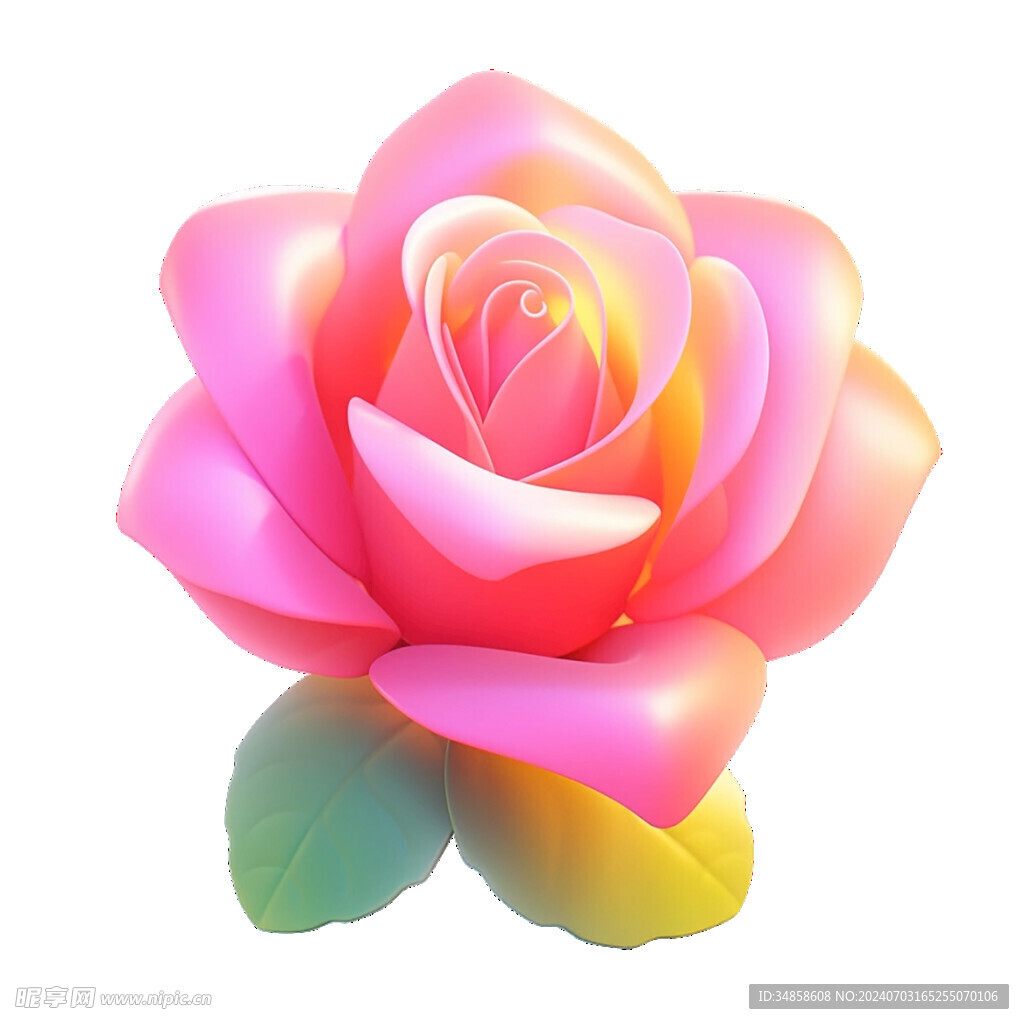 玫瑰花图片 