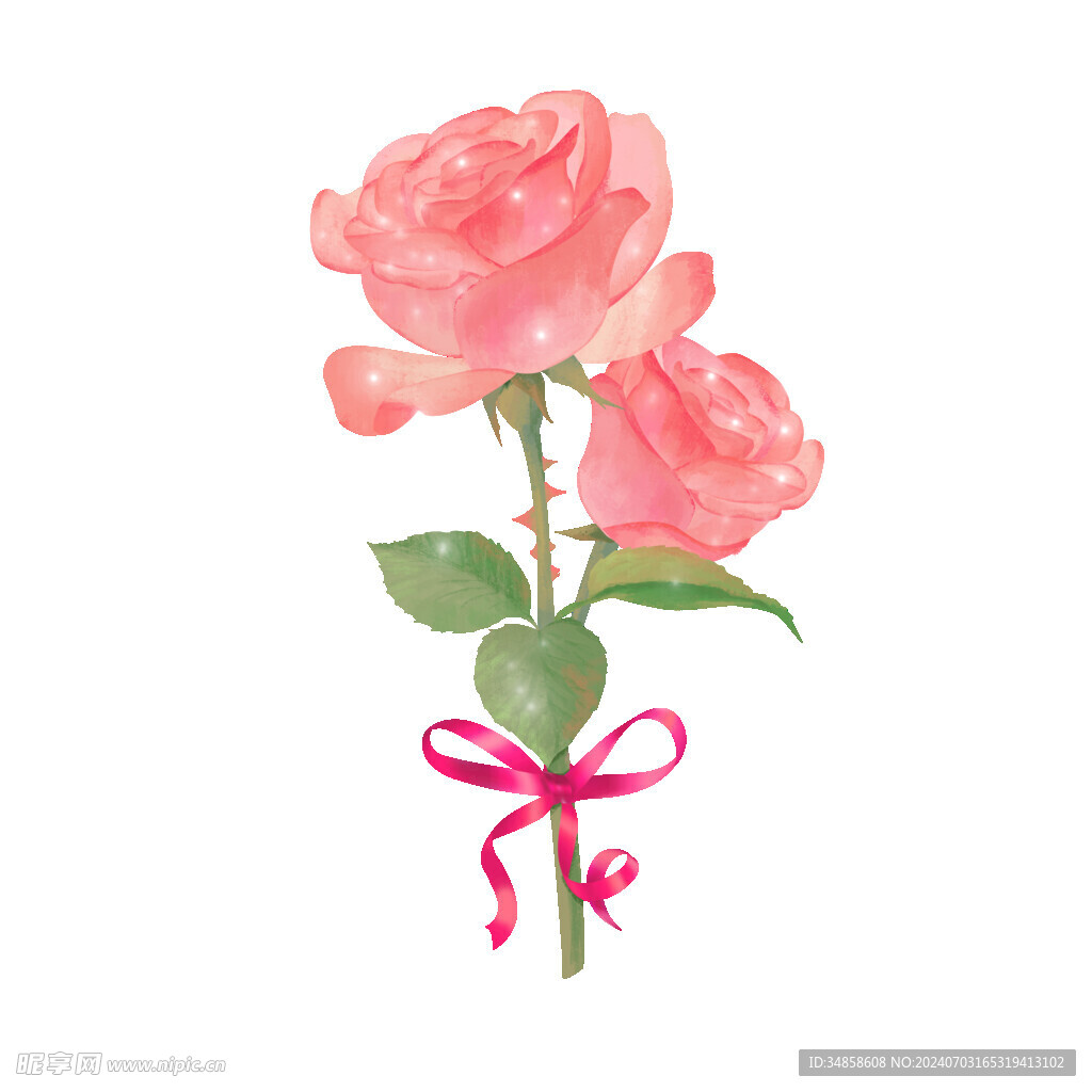 玫瑰花图片