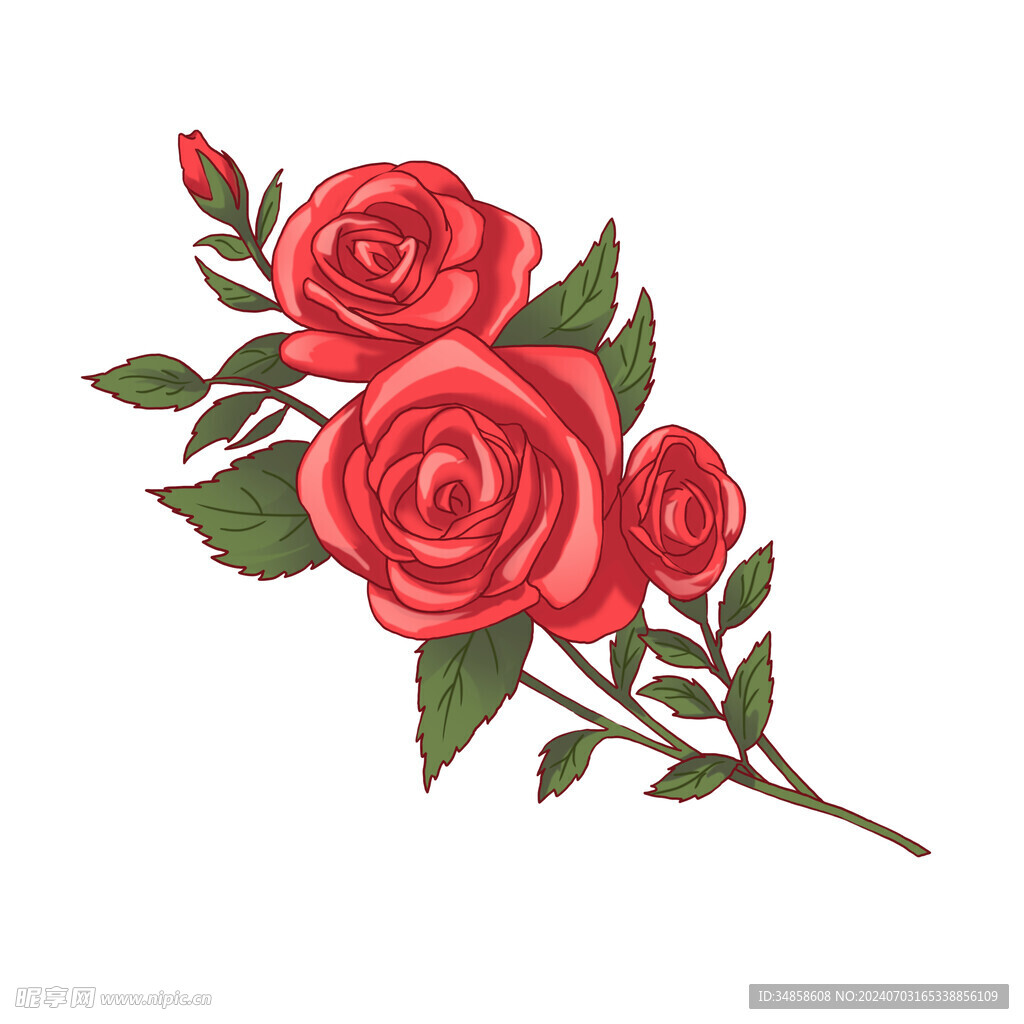 玫瑰花图片