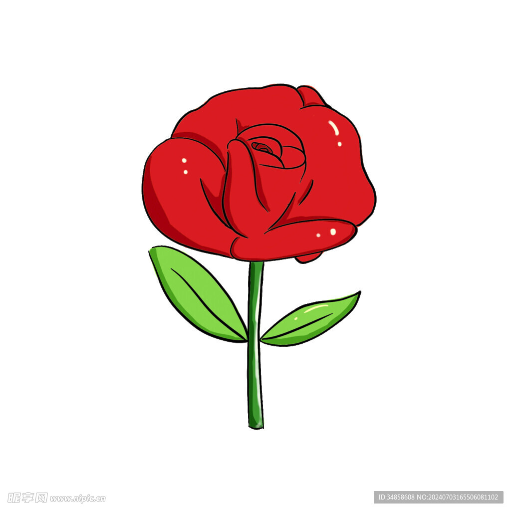 玫瑰花图片