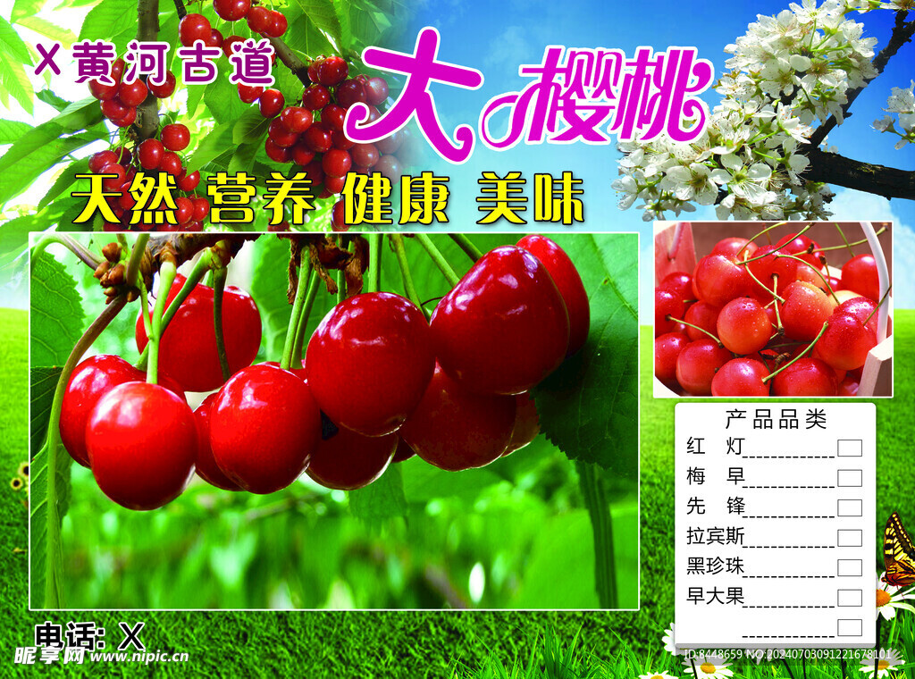 大樱桃