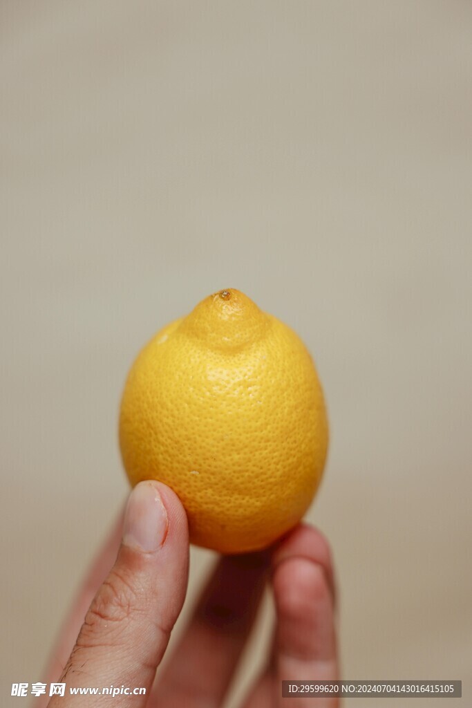 柠檬 
