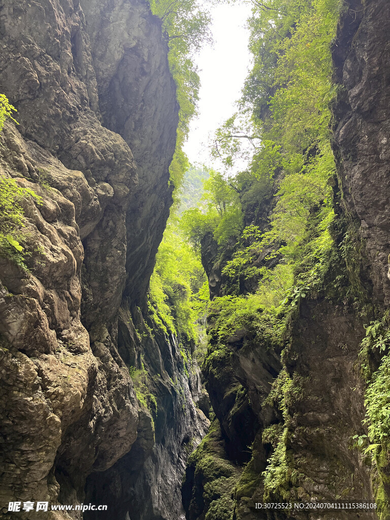 官鹅沟