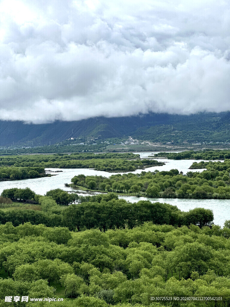 林芝