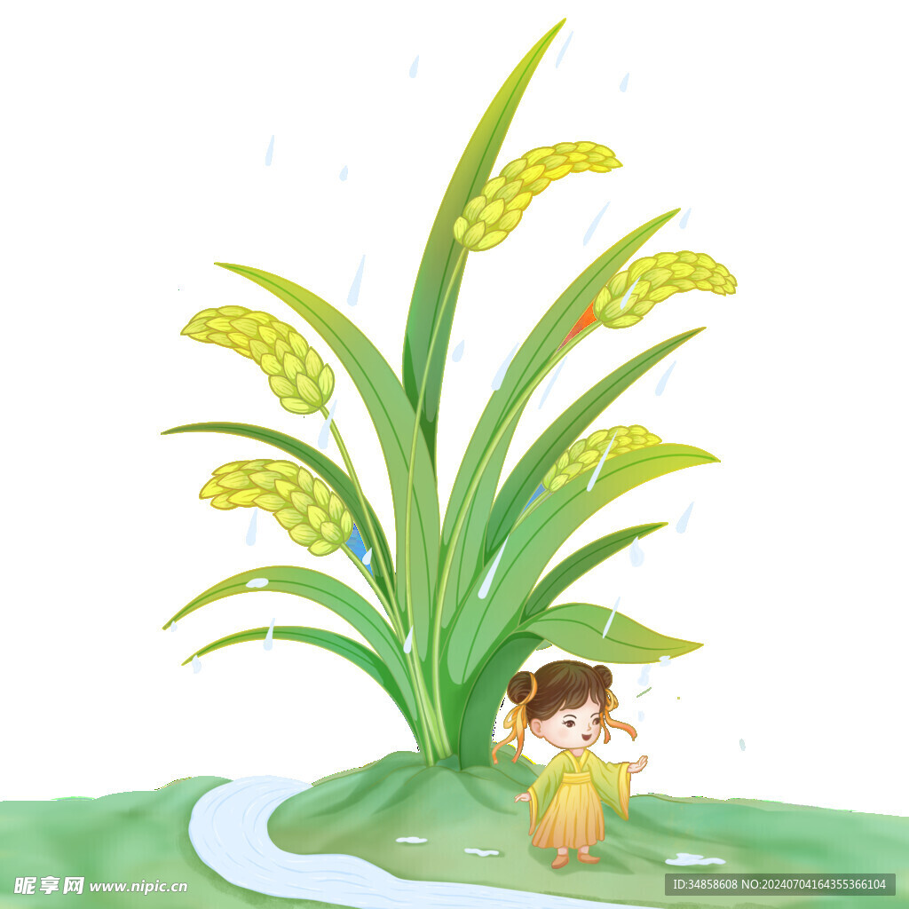麦穗小麦图片