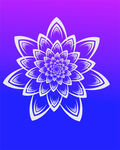 唯美花卉