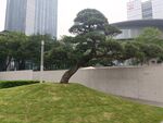和美术馆