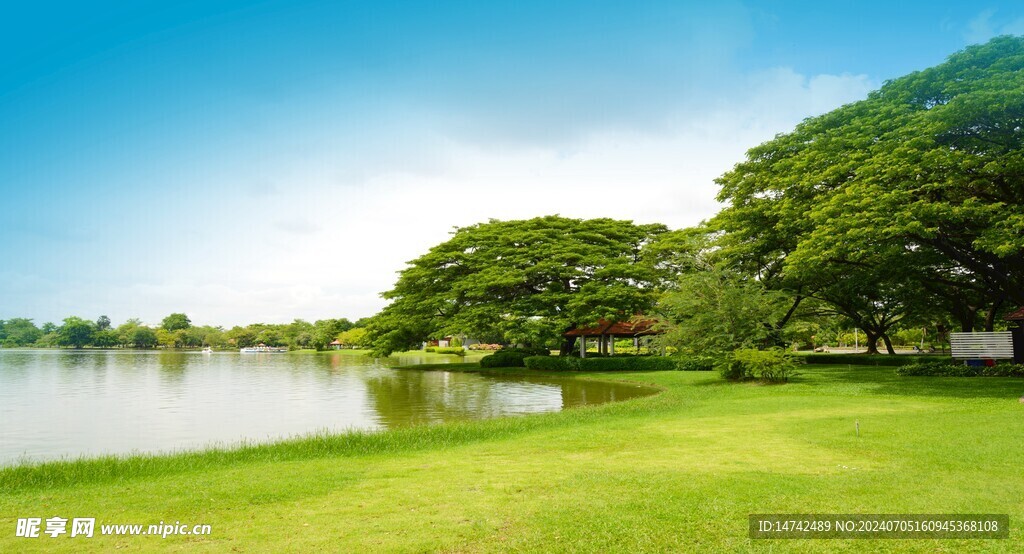 草地湖泊