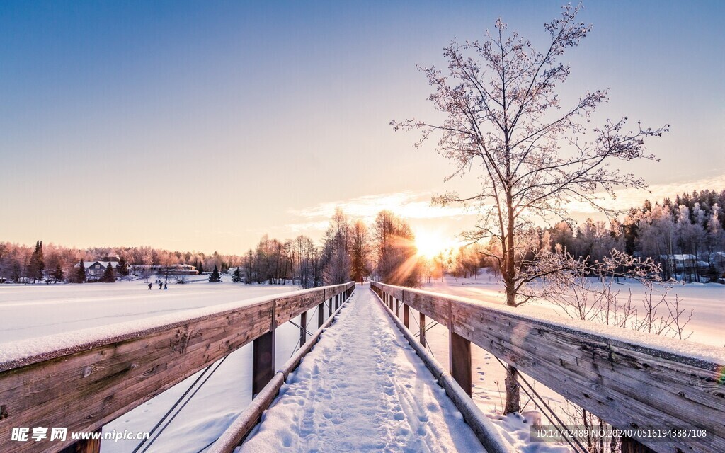 雪地