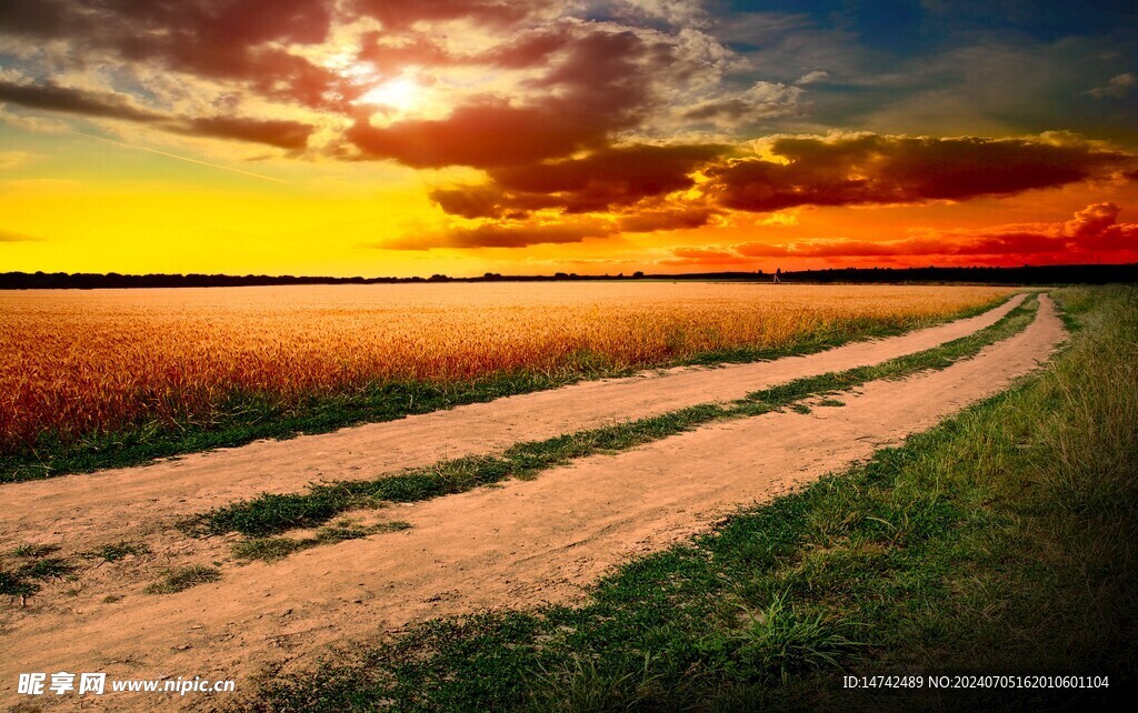 夕阳道路