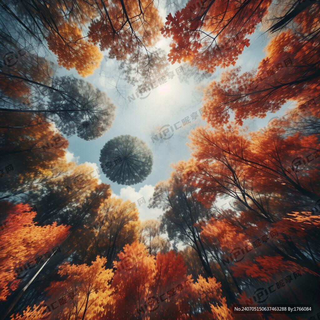 仰望深林秋天的景色