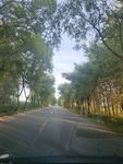 公路