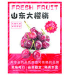 山东大樱桃