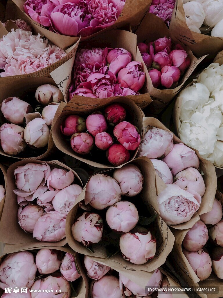 牡丹
