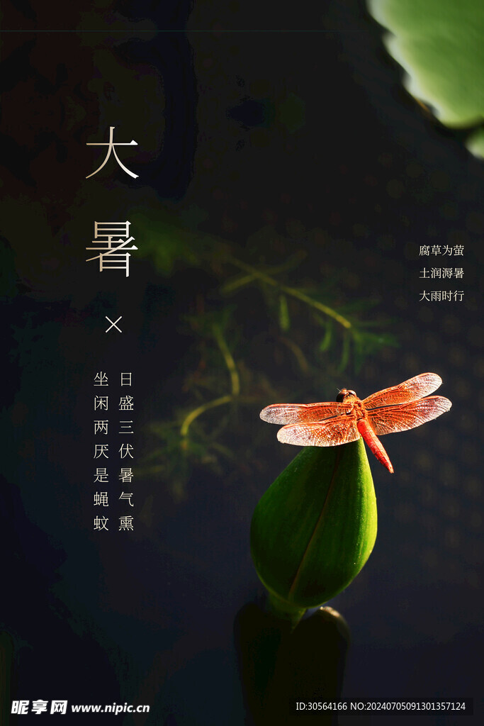 大暑