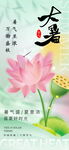 大暑节气海报