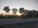 日落