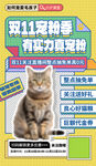 双十一促销海报