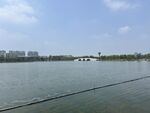包公湖