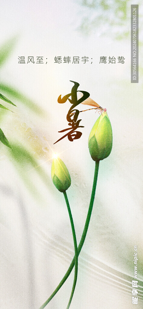 小暑