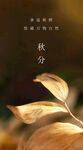 秋分
