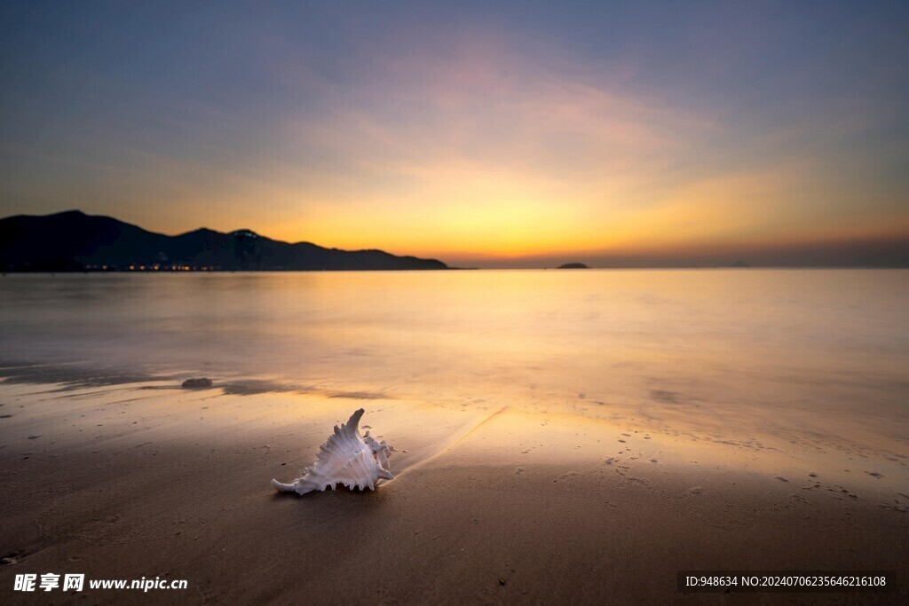 霞光海边海螺