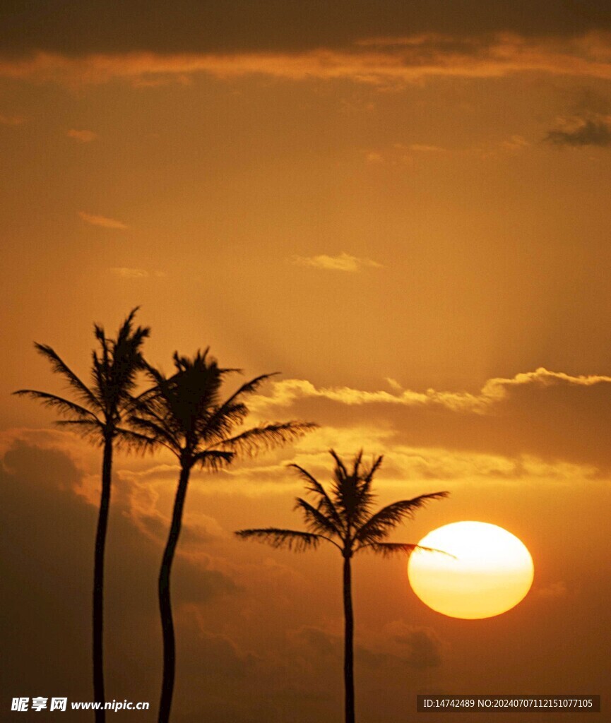 夕阳