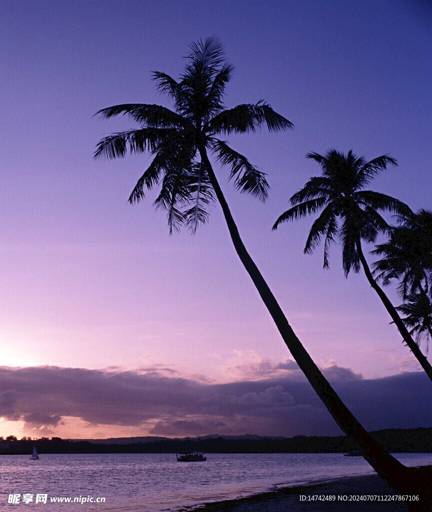 夕阳
