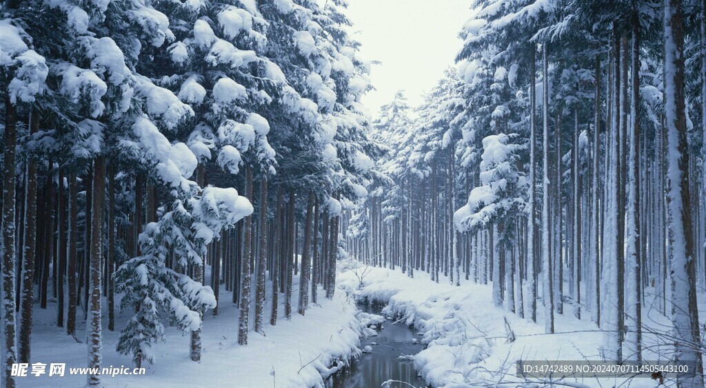 冰天雪地