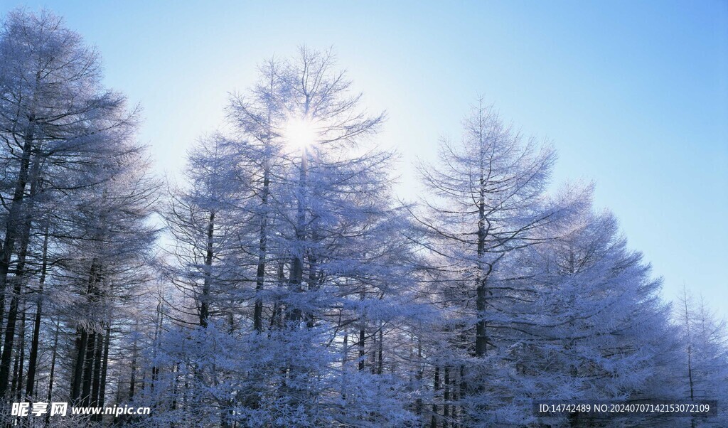 冰天雪地