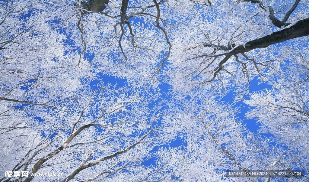 冰天雪地