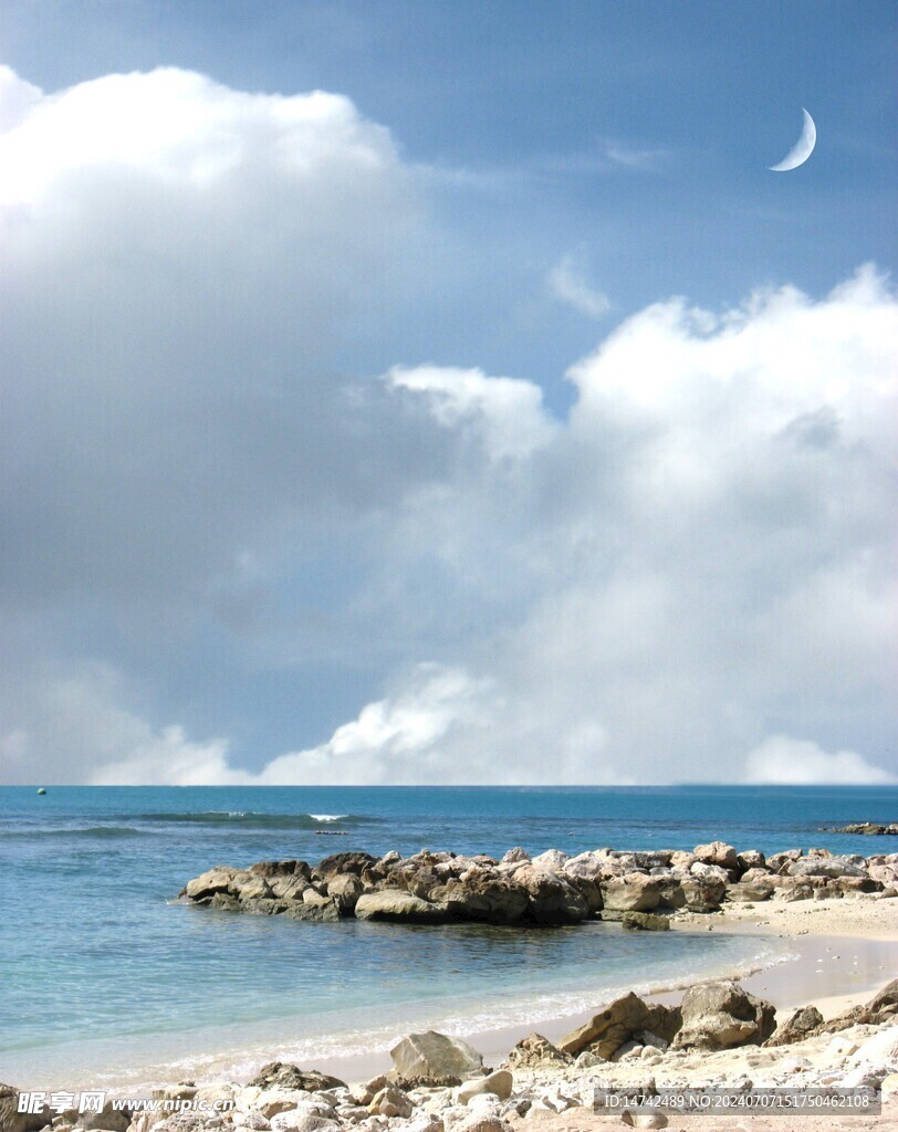大海
