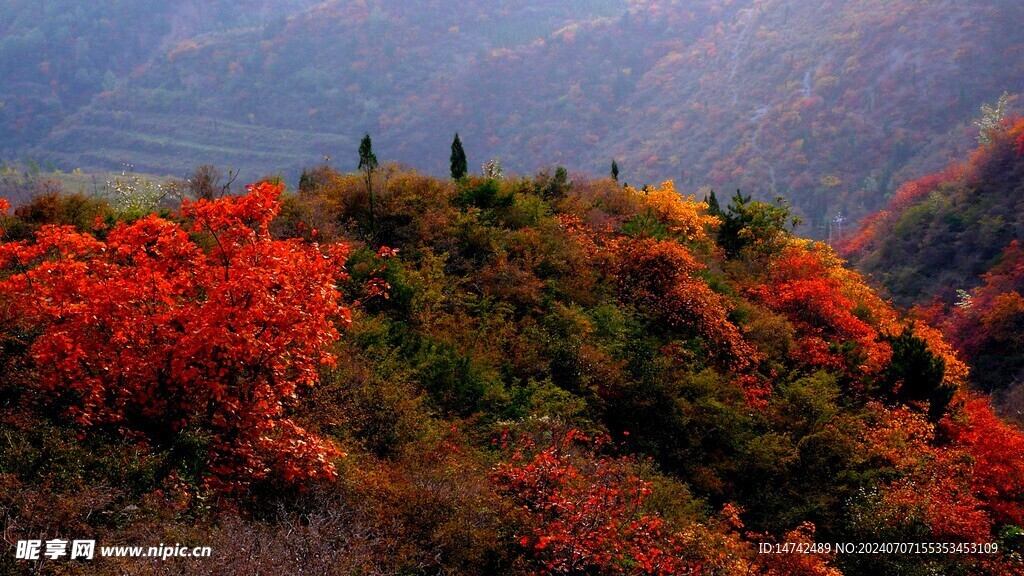 山上风光