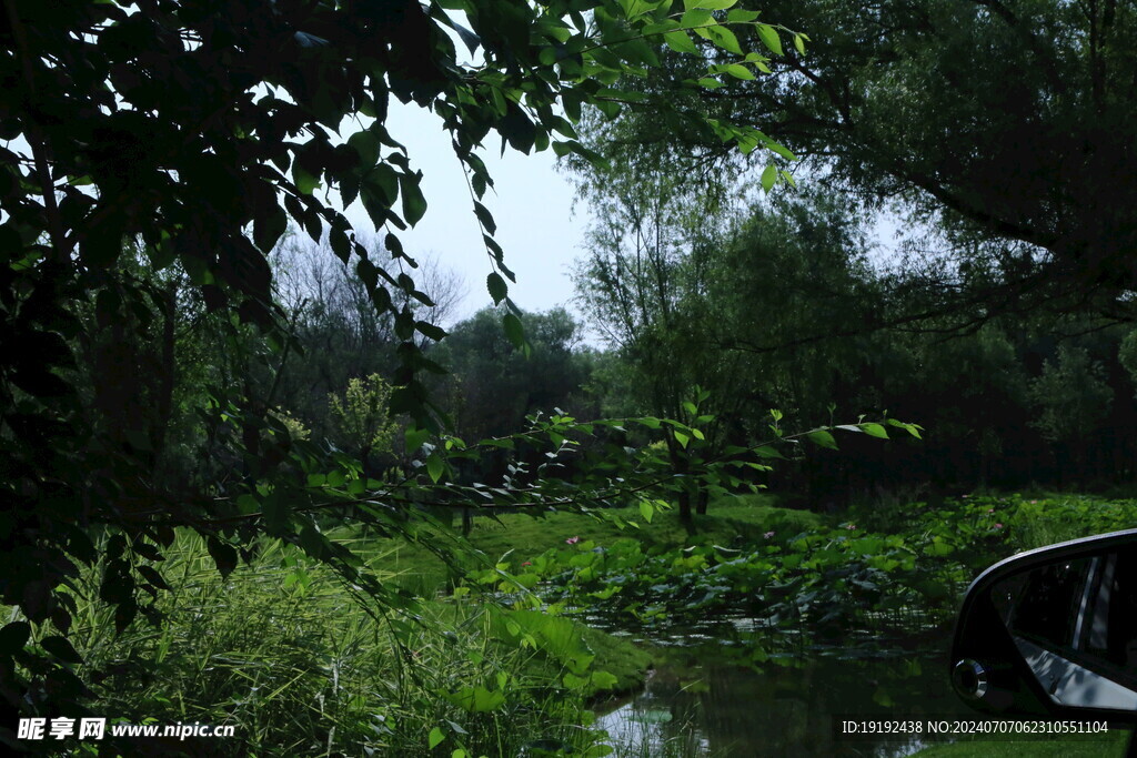 动物园风景  