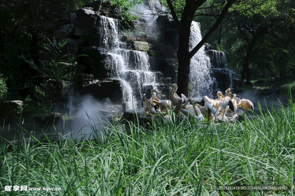 动物园风景 