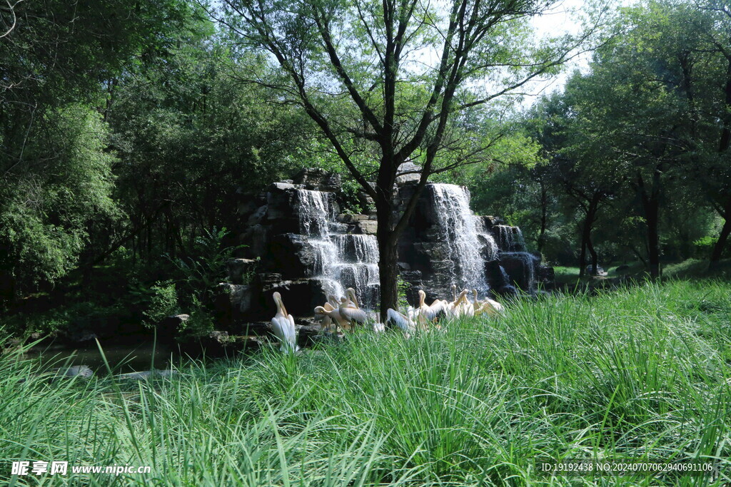 动物园风景  