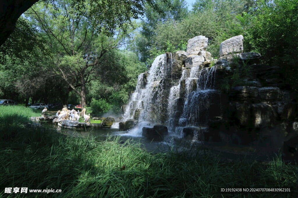 动物园风景  