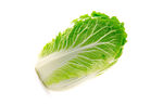 大白菜 