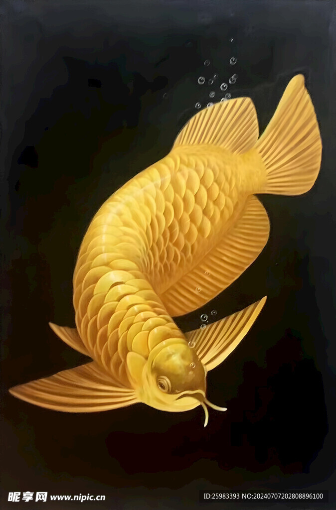 金龙鱼油画 
