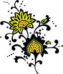花纹