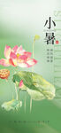 荷花小暑海报