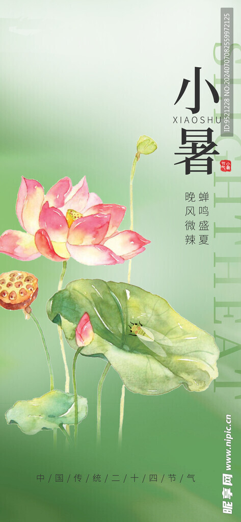 荷花小暑海报