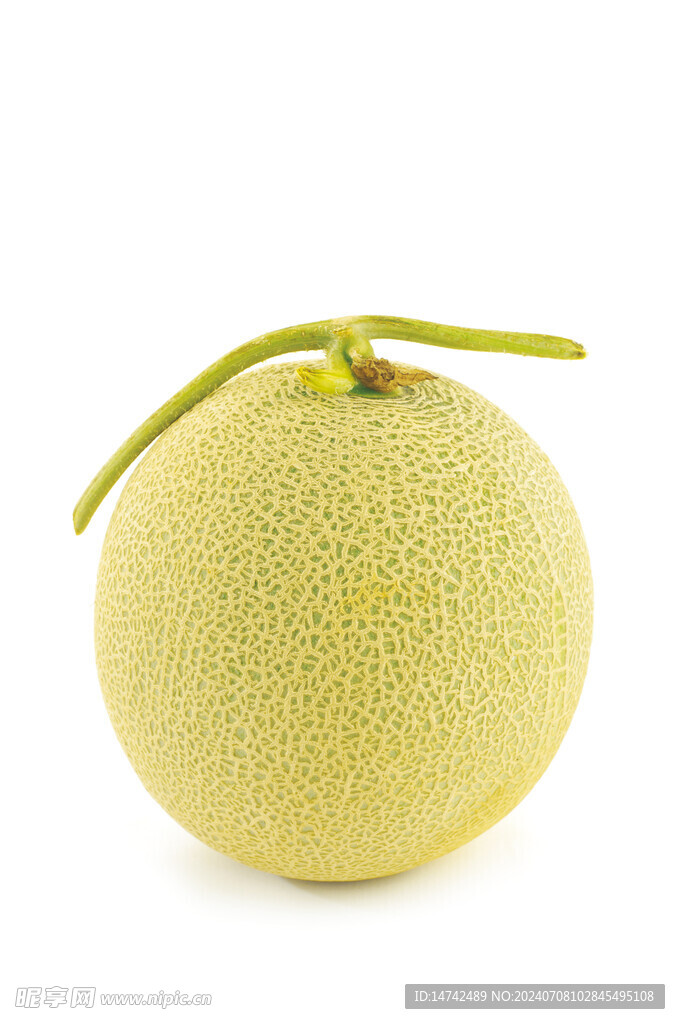 哈密瓜