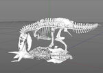C4D模型 恐龙骨